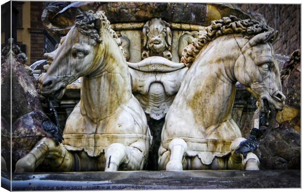 Statues of horses on a fountain in Florence, Italy. Canvas Print by Peter Bolton