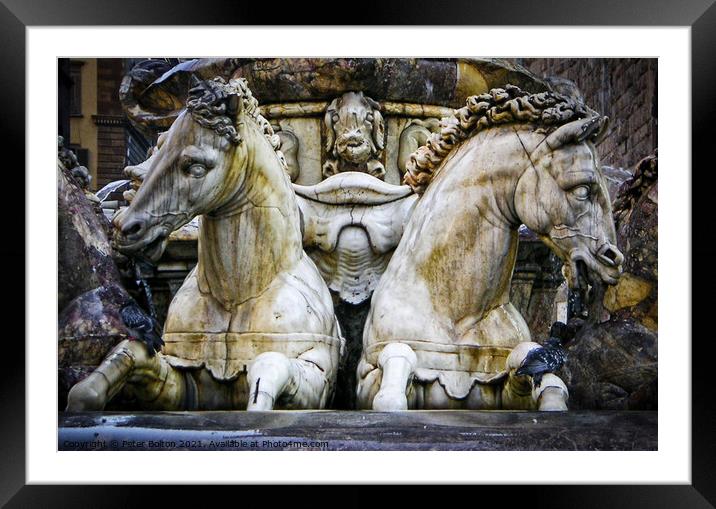 Statues of horses on a fountain in Florence, Italy. Framed Mounted Print by Peter Bolton