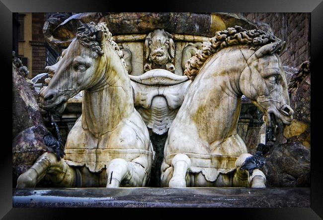 Statues of horses on a fountain in Florence, Italy. Framed Print by Peter Bolton