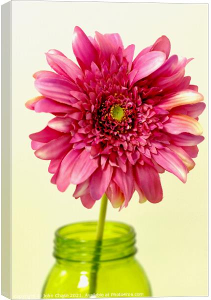 Pink Flower in a Vase Canvas Print by John Chase
