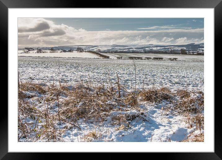 Towards Newsham from Wycliffe in Winter Framed Mounted Print by Richard Laidler