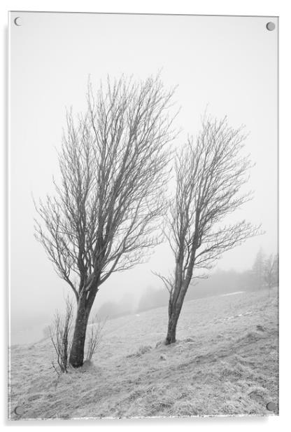 On a misty windy hill Acrylic by David McCulloch