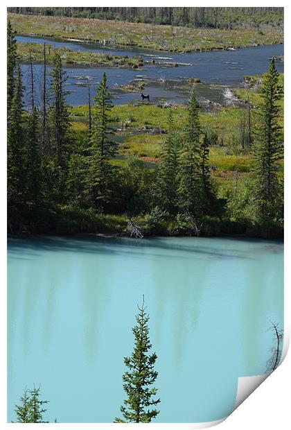 banff national park,canada Print by milena boeva