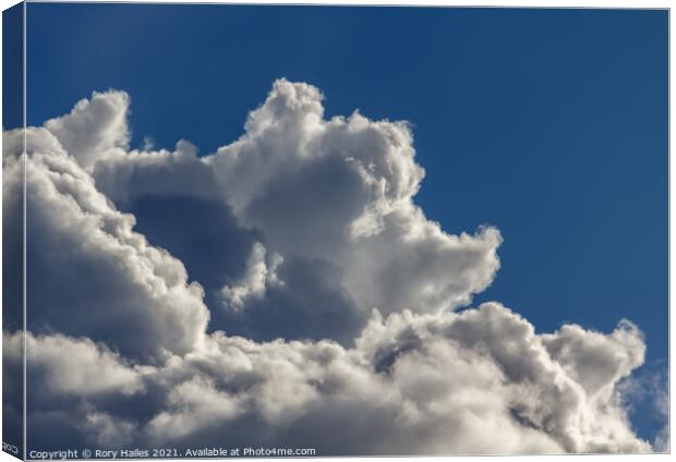 Shape in the cloud Canvas Print by Rory Hailes