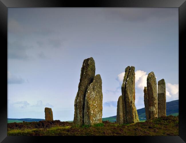 At The Ring of Brodgar Framed Print by Steven Watson