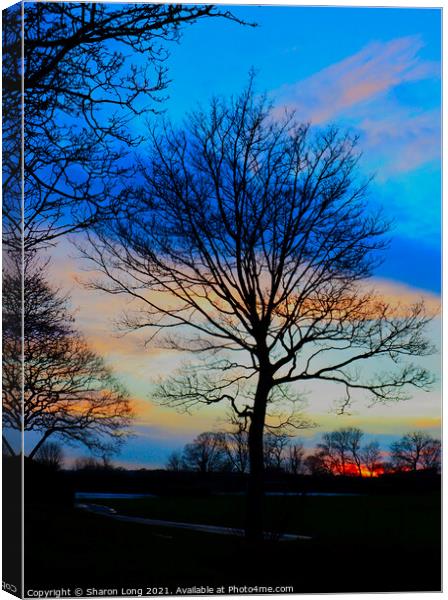 Sunset Sky Over Central Park Canvas Print by Photography by Sharon Long 