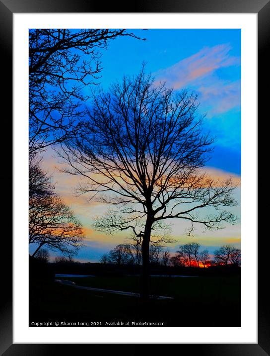 Sunset Sky Over Central Park Framed Mounted Print by Photography by Sharon Long 