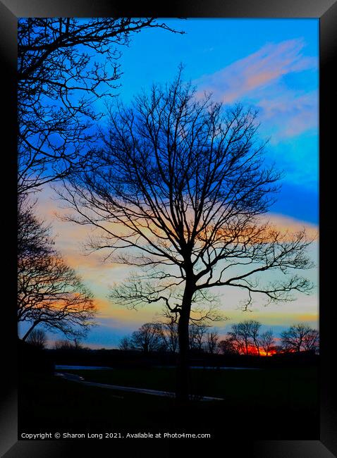 Sunset Sky Over Central Park Framed Print by Photography by Sharon Long 