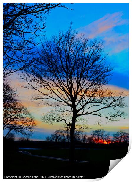 Sunset Sky Over Central Park Print by Photography by Sharon Long 