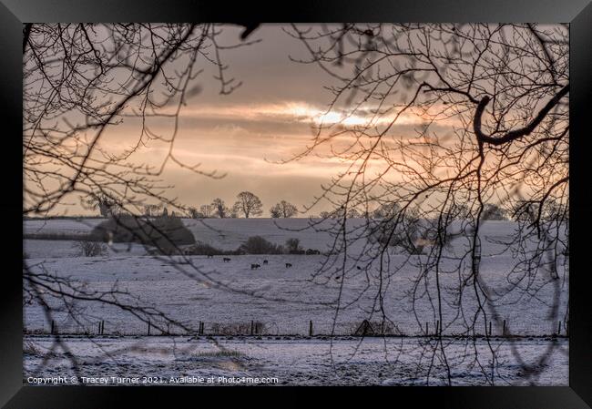 Radiant Winter Sunrise Framed Print by Tracey Turner