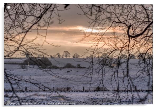 Radiant Winter Sunrise Acrylic by Tracey Turner