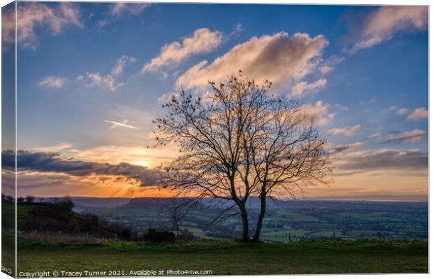 Sunset over Gloucestershire Canvas Print by Tracey Turner