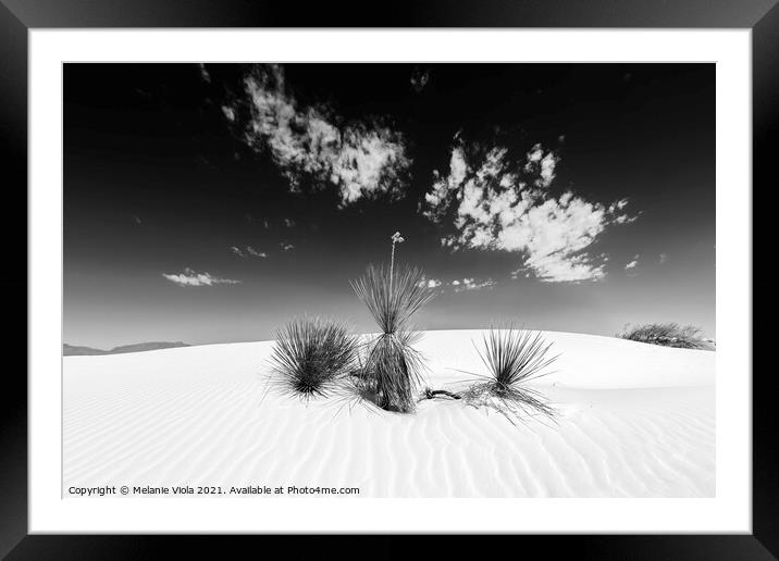 White Sands Impression | Monochrome Framed Mounted Print by Melanie Viola