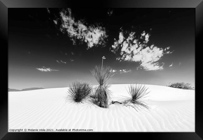 White Sands Impression | Monochrome Framed Print by Melanie Viola
