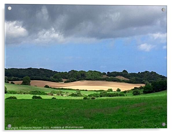 Rolling Hills of Menorca Acrylic by Deanne Flouton