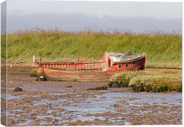 Red boat at low tide Canvas Print by Will Black