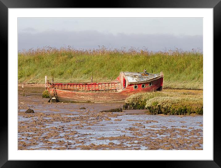 Red boat at low tide Framed Mounted Print by Will Black
