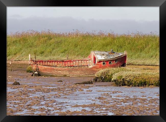 Red boat at low tide Framed Print by Will Black