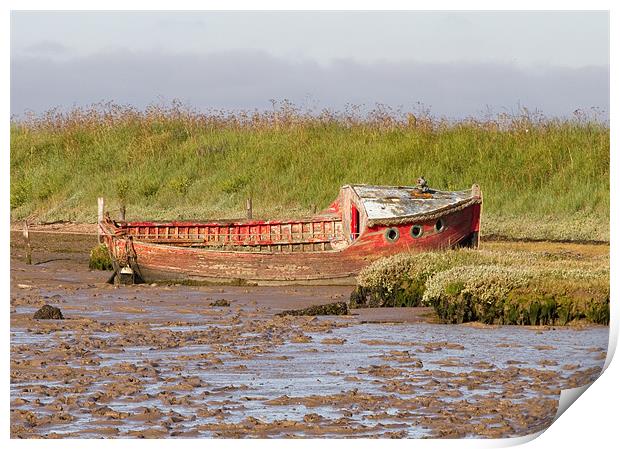 Red boat at low tide Print by Will Black