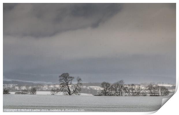 Sunny Interval in the Snow Print by Richard Laidler