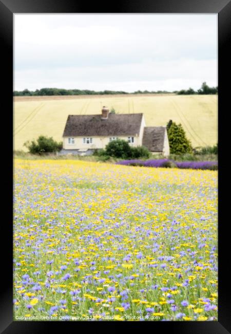Field Of English Meadow Flowers In The Cotswolds A Framed Print by Peter Greenway