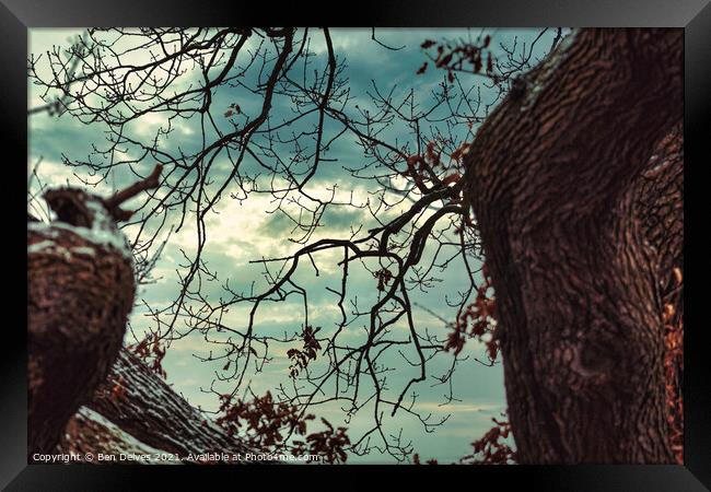 The sky through the branches Framed Print by Ben Delves
