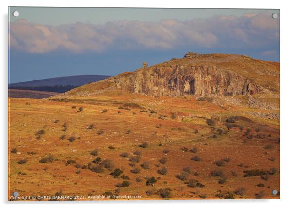 Bodmin Moor Acrylic by CHRIS BARNARD