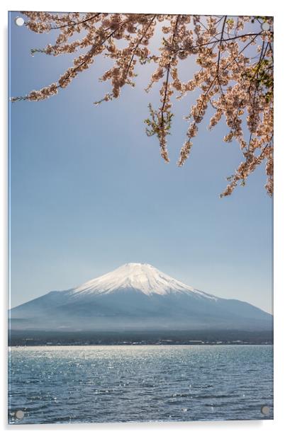 View of the Mt. Fuji symbol of Japan and Yamanaka lake with cherry blossoms Acrylic by Mirko Kuzmanovic