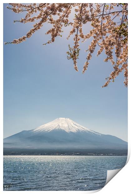 View of the Mt. Fuji symbol of Japan and Yamanaka lake with cherry blossoms Print by Mirko Kuzmanovic