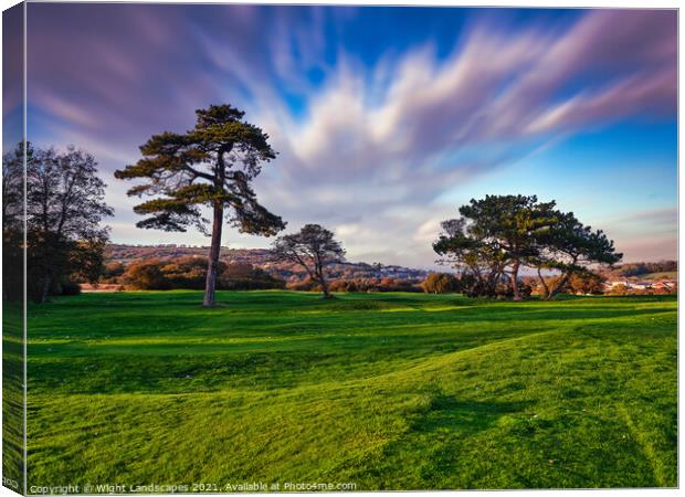 Browns Isle Of Wight Canvas Print by Wight Landscapes