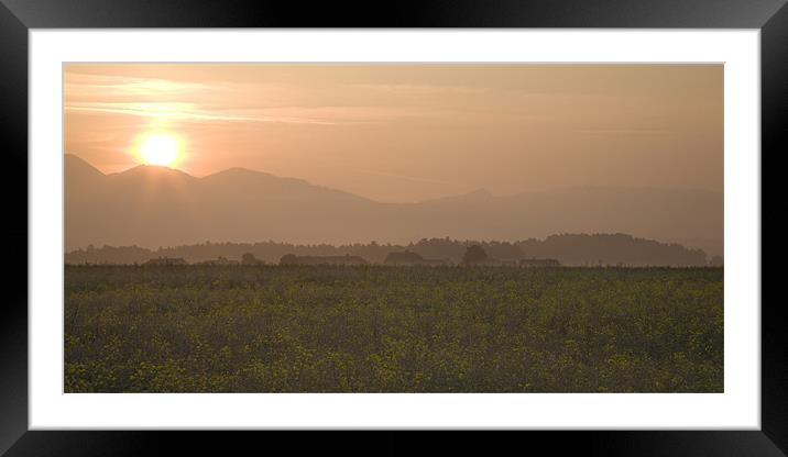 rapeseed sunrise Framed Mounted Print by Ian Middleton