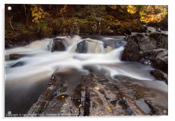 River Braan Nature Scene Perthshire Scotland Acrylic by Iain Gordon