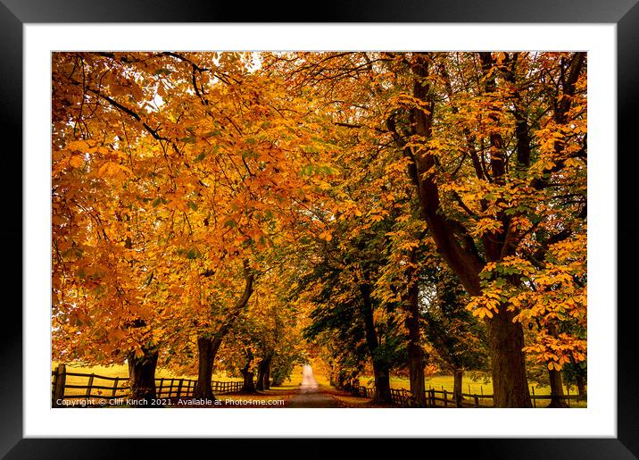 Autumn Canopy Framed Mounted Print by Cliff Kinch