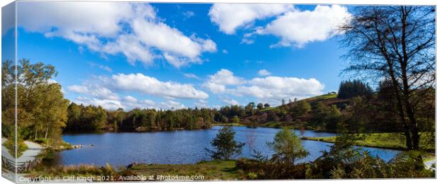 Tarn Hows Lake District Canvas Print by Cliff Kinch