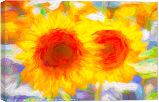 Sunflower Dreams Canvas Print by David Pyatt