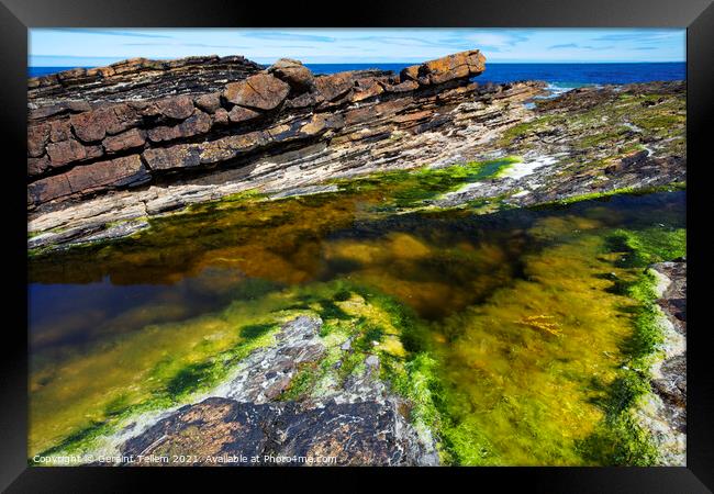 Rock Pool, near Brough Head, West Mainland, Orkney Islands, UK Framed Print by Geraint Tellem ARPS