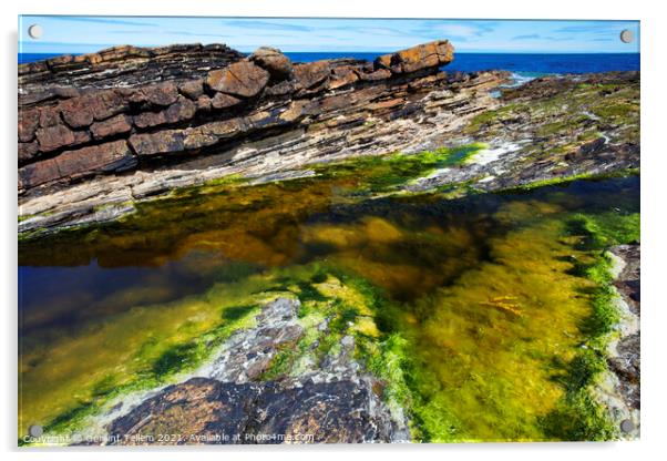 Rock Pool, near Brough Head, West Mainland, Orkney Islands, UK Acrylic by Geraint Tellem ARPS