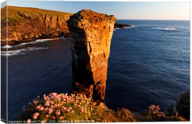 Yesnaby Sea Stack, West Mainland, Orkney Islands Canvas Print by Geraint Tellem ARPS