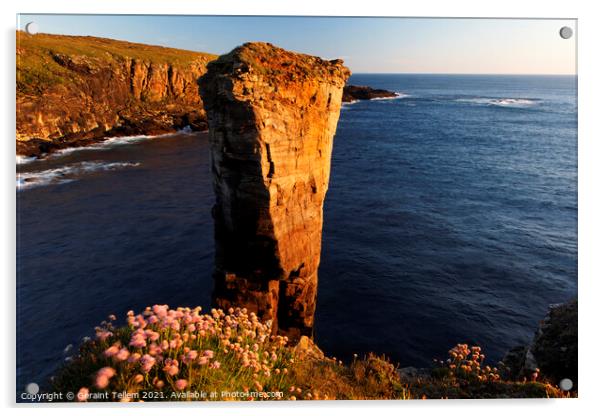 Yesnaby Sea Stack, West Mainland, Orkney Islands Acrylic by Geraint Tellem ARPS