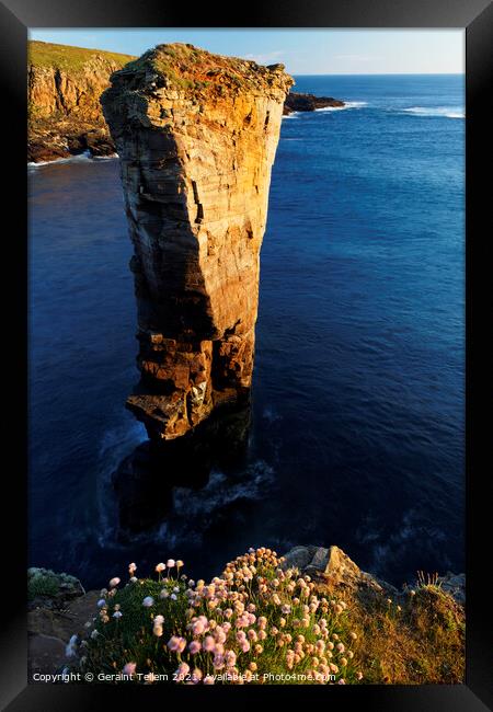 Yesnaby Sea Stack, West Mainland, Orkney Islands Framed Print by Geraint Tellem ARPS
