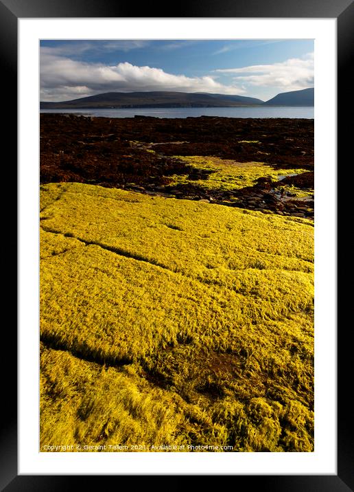 The coast of Hoy from Petertown, near Stromness, Orkney Islands Framed Mounted Print by Geraint Tellem ARPS
