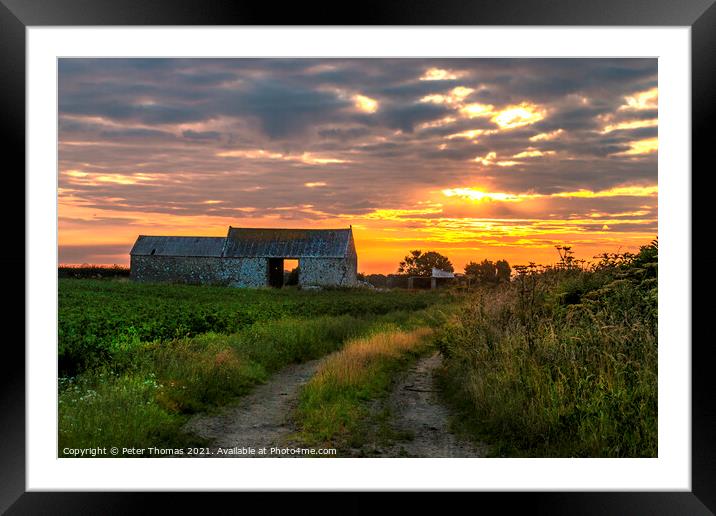 Glowing Sunrise on Farm Track Framed Mounted Print by Peter Thomas