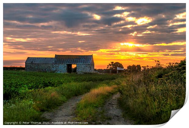 Glowing Sunrise on Farm Track Print by Peter Thomas