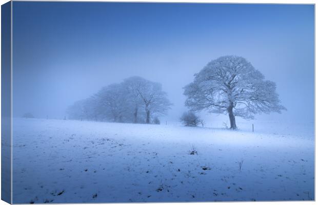 A Blue Hour Winter Scene Canvas Print by Phil Durkin DPAGB BPE4