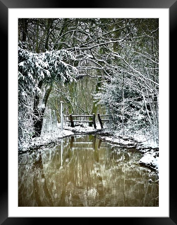 Snow Storm Framed Mounted Print by Colin Richards