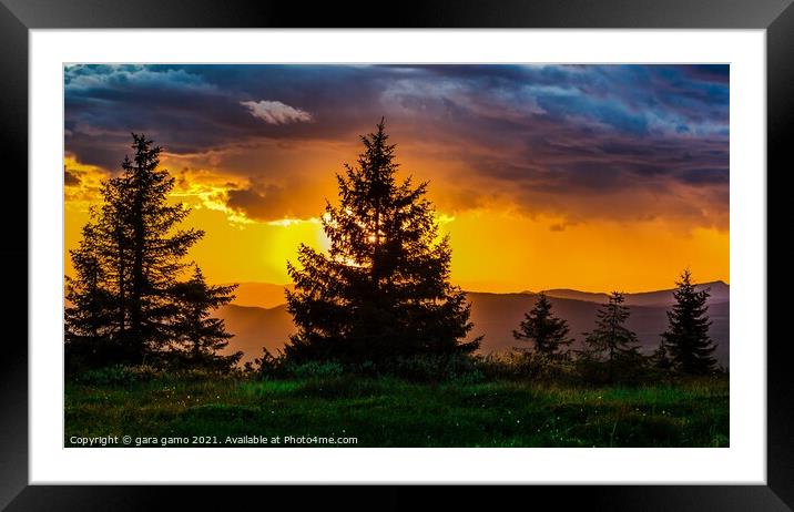 Nature trees sunset Framed Mounted Print by gara gamo