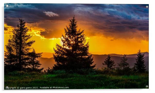 Nature trees sunset Acrylic by gara gamo