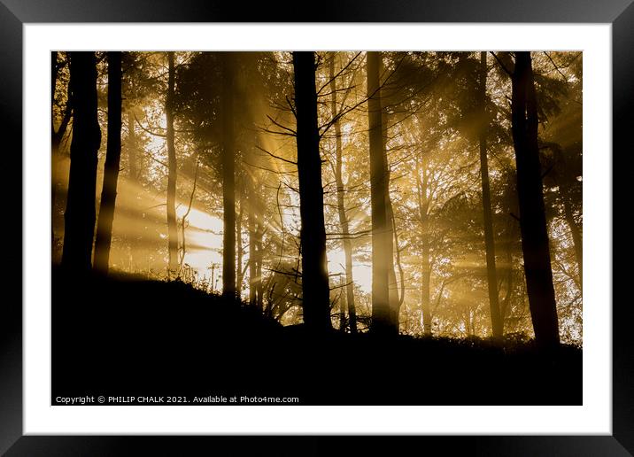Sunrise in the forest  232 Framed Mounted Print by PHILIP CHALK