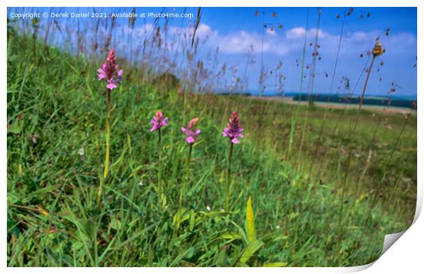 Early Purple Orchids A Hidden Beauty at Badbury Ri Print by Derek Daniel