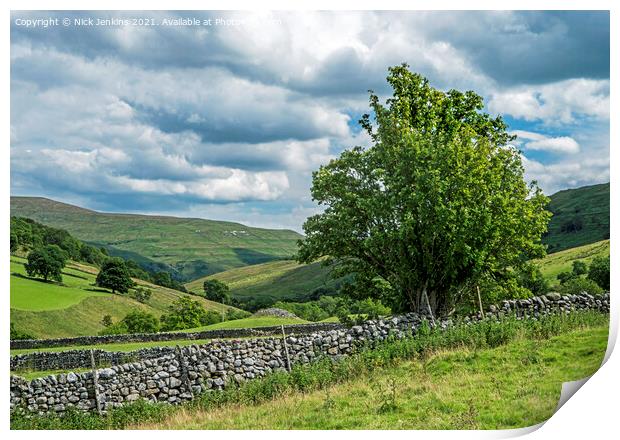 Langstrothdale View Yorkshire Dales National Park Print by Nick Jenkins